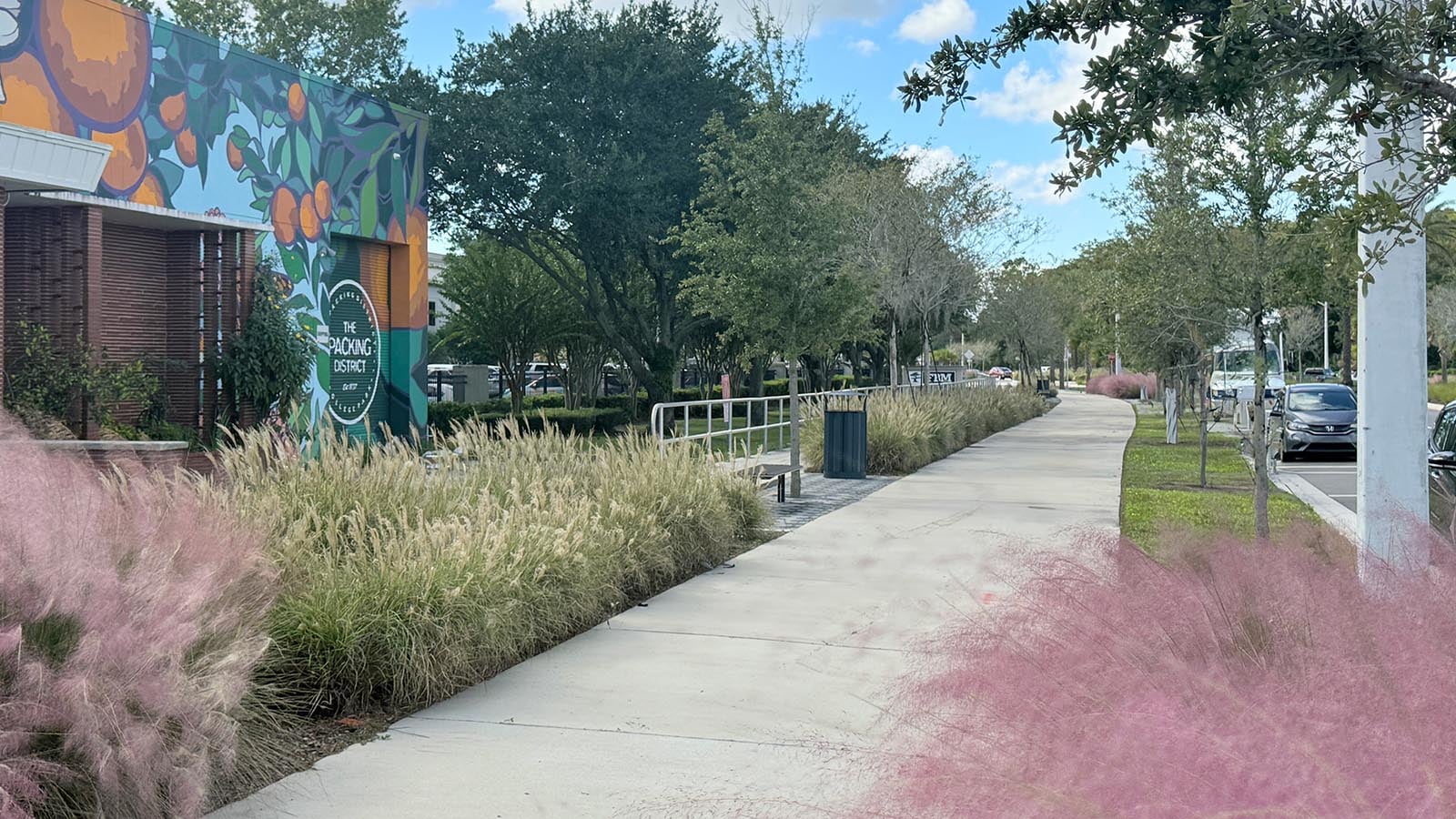 Dr Phillips Packing District